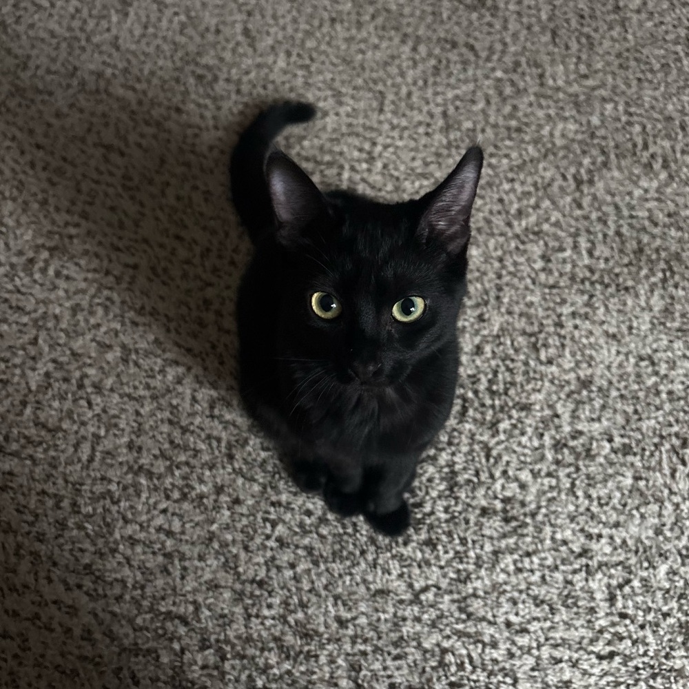 SALE BUNDLE BUNDLE FOR BETTER DEALS ‼️‼️‼️